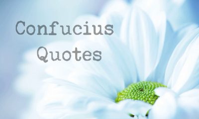 Confucius Quotes Sayings That Will Guide Your Life