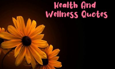 Health And Wellness Quotes to Motivate and Inspire You For A Healthy Mindset