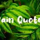 Rain Quotes and Sayings That Help your Spirits and You Feel Better