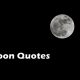 Moon Quotes Quotes About The Moon That Will Alter Your View