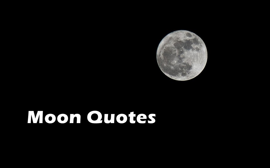 Moon Quotes Quotes About The Moon That Will Alter Your View