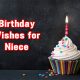 Birthday Wishes for Niece Happy Quotes About Niece