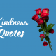 Powerful Kindness Quotes About Truth And Inspire