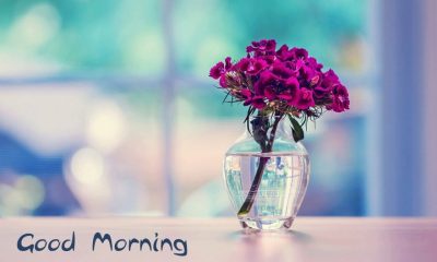 Sweet Good Morning Text for Husband Status and Quotes