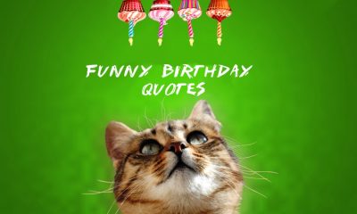 Funny Birthday Quotes Funny Ways To Say Happy Birthday