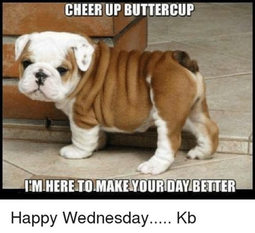 best happy wednesday memes funny humpday images 10