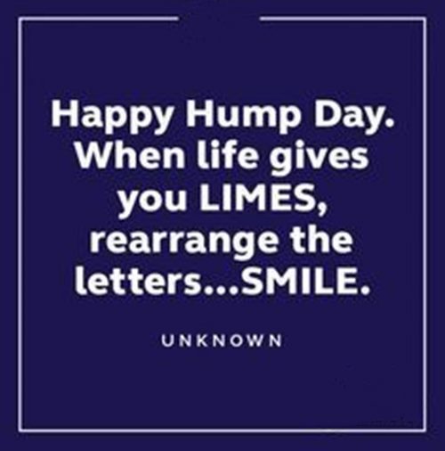 best happy wednesday memes funny humpday images 14