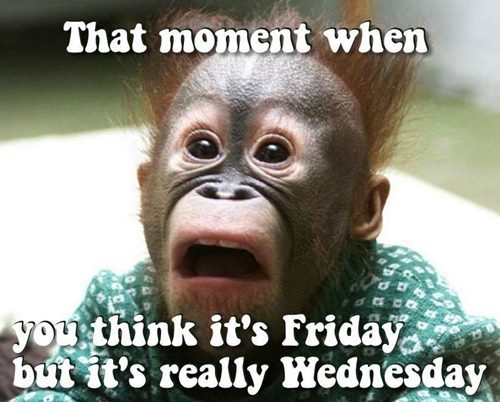best happy wednesday memes funny humpday images 22