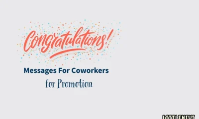 Congratulations Messages For Coworkers for Promotion