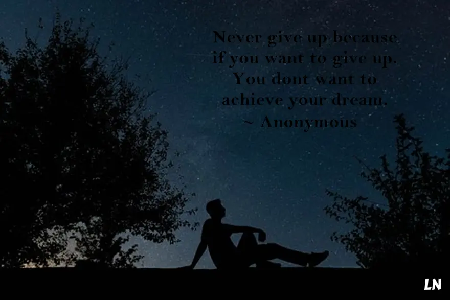 Never Give Up Quotes Words of Wisdom