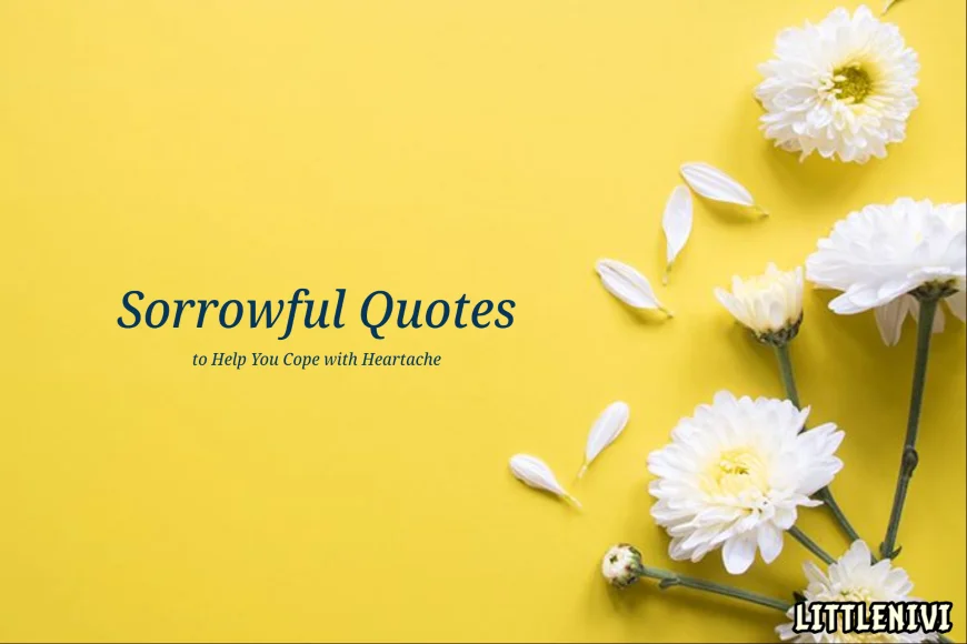 Sorrowful Quotes to Help You Cope with Heartache