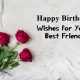 Happy Birthday Wishes to Your Best Friend
