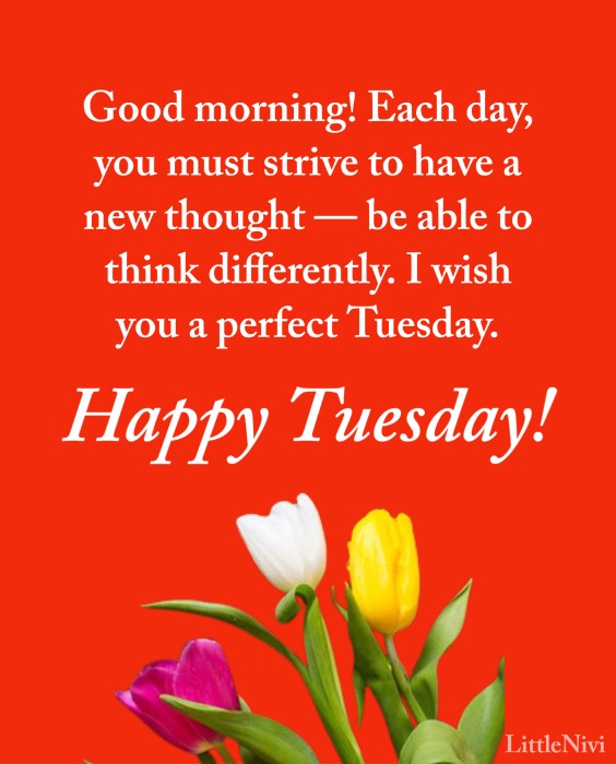 Happy Tuesday Good Morning Wishes