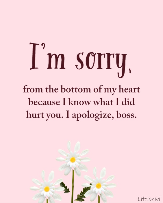 Apology Letters to Boss
