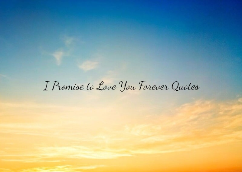 I Promise to Love You Forever Quotes