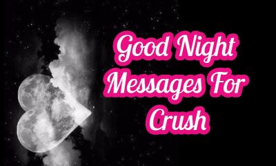 Sweet Good Night Messages For Crush
