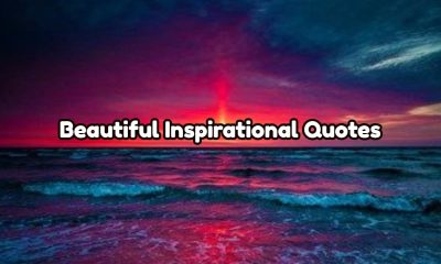 Beautiful Inspirational Quotes & Motivational Quotes With Images